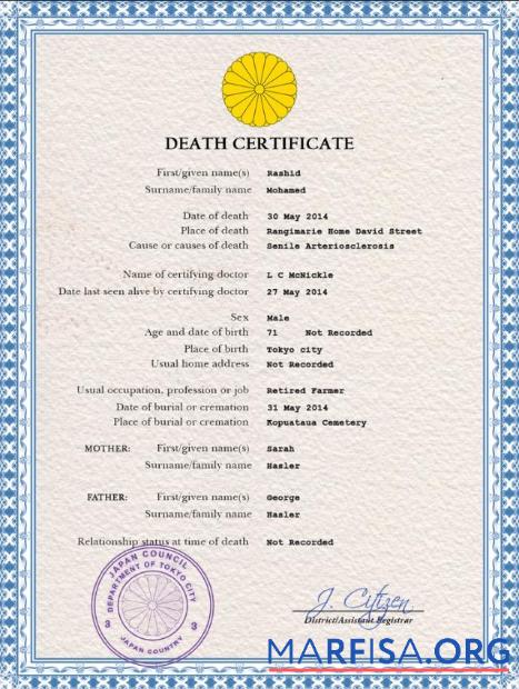 Downloadable Japan vital record death certificate PSD template